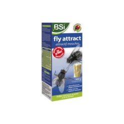 Attractif Mouches 40g X 10 - BSI