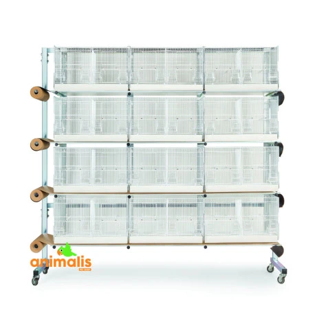 Batterie D'élevage 12 Cages - 60x31x35cm 3 Batterie D'élevage 12 Cages - 60x31x35cm