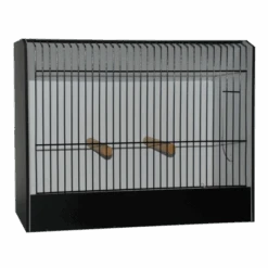 Cage D'exposition Grande Perruche