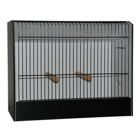 Cage D'exposition Grande Perruche 3 Cage D'exposition Grande Perruche