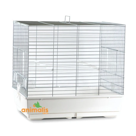 Cage Oiseaux "Clarabella" Chromée Pour Perruches - 70x50x66cm 3 Cage Oiseaux "Clarabella" Chromée Pour Perruches - 70x50x66cm