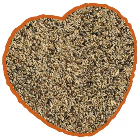 Canaris De Posture Duvo 20Kg 6 Canaris De Posture Duvo 20Kg – Image 4