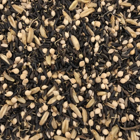 Germix Canaris Ailes Blanches 4kg 4 Germix Canaris Ailes Blanches 4kg – Image 2