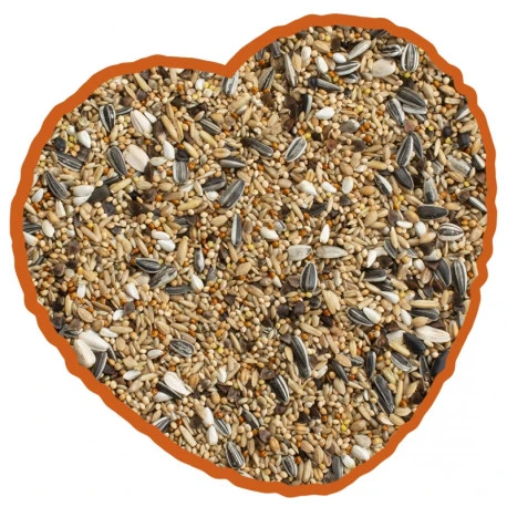 Grandes Perruches Duvo 20 Kg 4 Grandes Perruches Duvo 20 Kg – Image 2