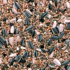 Grandes Perruches Duvo 20 Kg 9 Grandes Perruches Duvo 20 Kg -Deli Nature Magasin melange pour grandes perruches 20 kg duvo 3