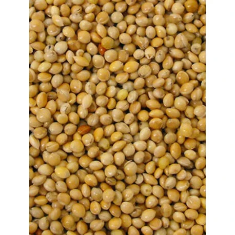 Millet Jaune 20kg 3 Millet Jaune 20kg