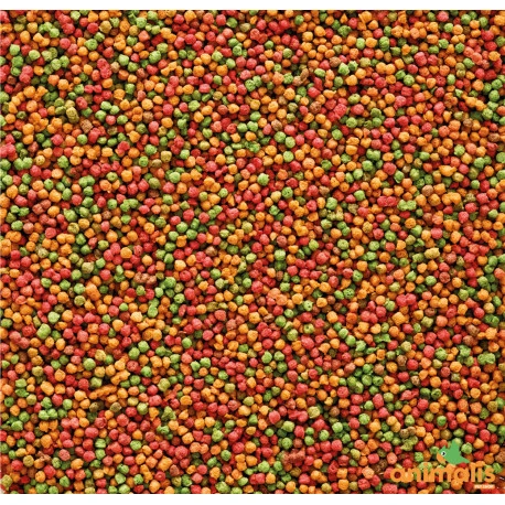 VERSELE-LAGA Nutribird B14 3kg 3 VERSELE-LAGA Nutribird B14 3kg – Image 2