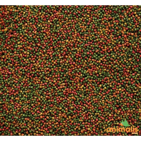 VERSELE-LAGA Nutribird C15 10kg - Aliment D'entretien Pour Canaris, Oiseaux Exotiques Et Indigènes 4 VERSELE-LAGA Nutribird C15 10kg - Aliment D'entretien Pour Canaris, Oiseaux Exotiques Et Indigènes – Image 2