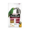 VERSELE-LAGA Nutribird P15 Original 3kg - Granulés Extrudés - Aliment D'entretien Pour Perroquets 1 VERSELE-LAGA Nutribird P15 Original 3kg - Granulés Extrudés - Aliment D'entretien Pour Perroquets -Deli Nature Magasin nutribird p15 original 3kg granules extrudes aliment d entretien pour perroquets