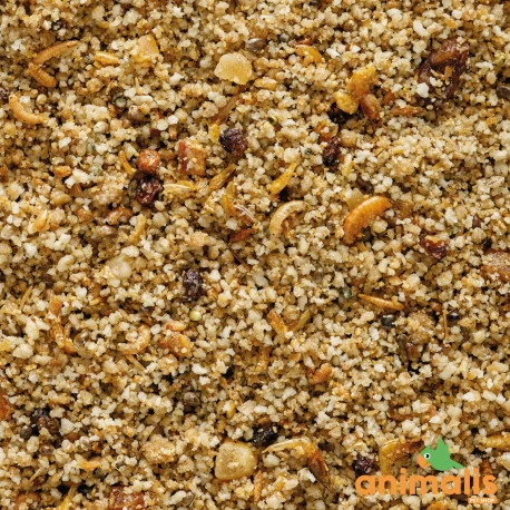 VERSELE-LAGA Uni Pâtée 25kg - Aliment Complet Pour Les Petits Frugivores Et Insectivores 4 VERSELE-LAGA Uni Pâtée 25kg - Aliment Complet Pour Les Petits Frugivores Et Insectivores – Image 2